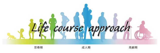 Life course approach